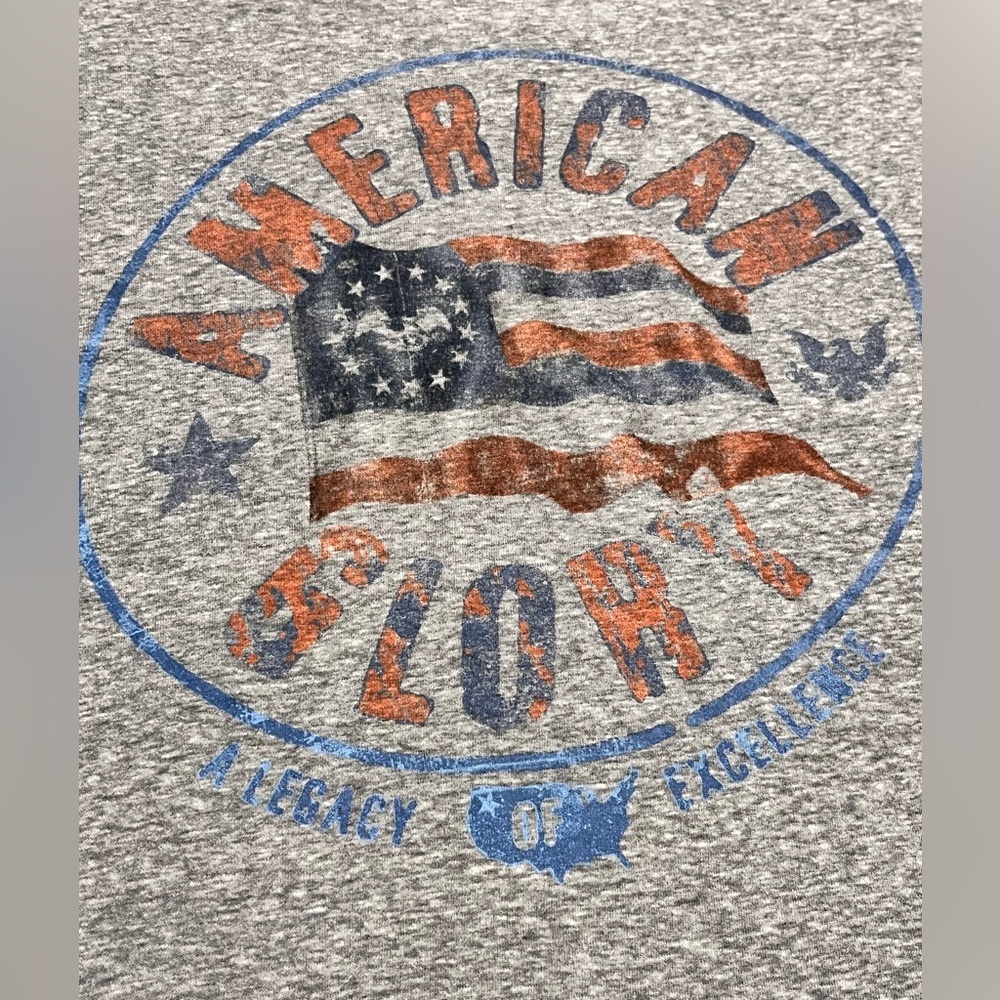 Gray American Glory T-Shirt - Picture 4 of 6